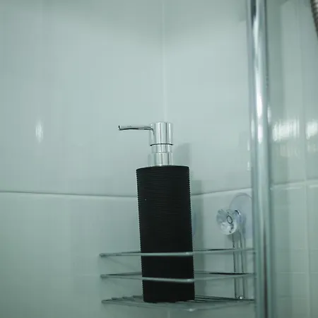 Apartment Davidovic *